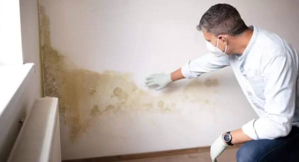Damp Walls: Causes, Solutions & How Ceramic Tiles Can Help Damp Walls